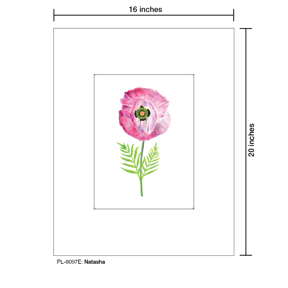 Natasha Anemone, Print (#8097E), Printe Matted, www.printedcanvas.com