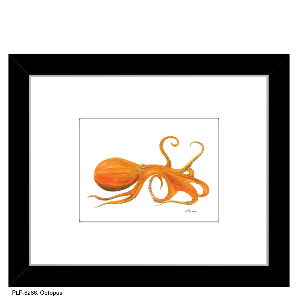 Octopus, Print (#8266B), Print Matted, www.printedcanvas.com