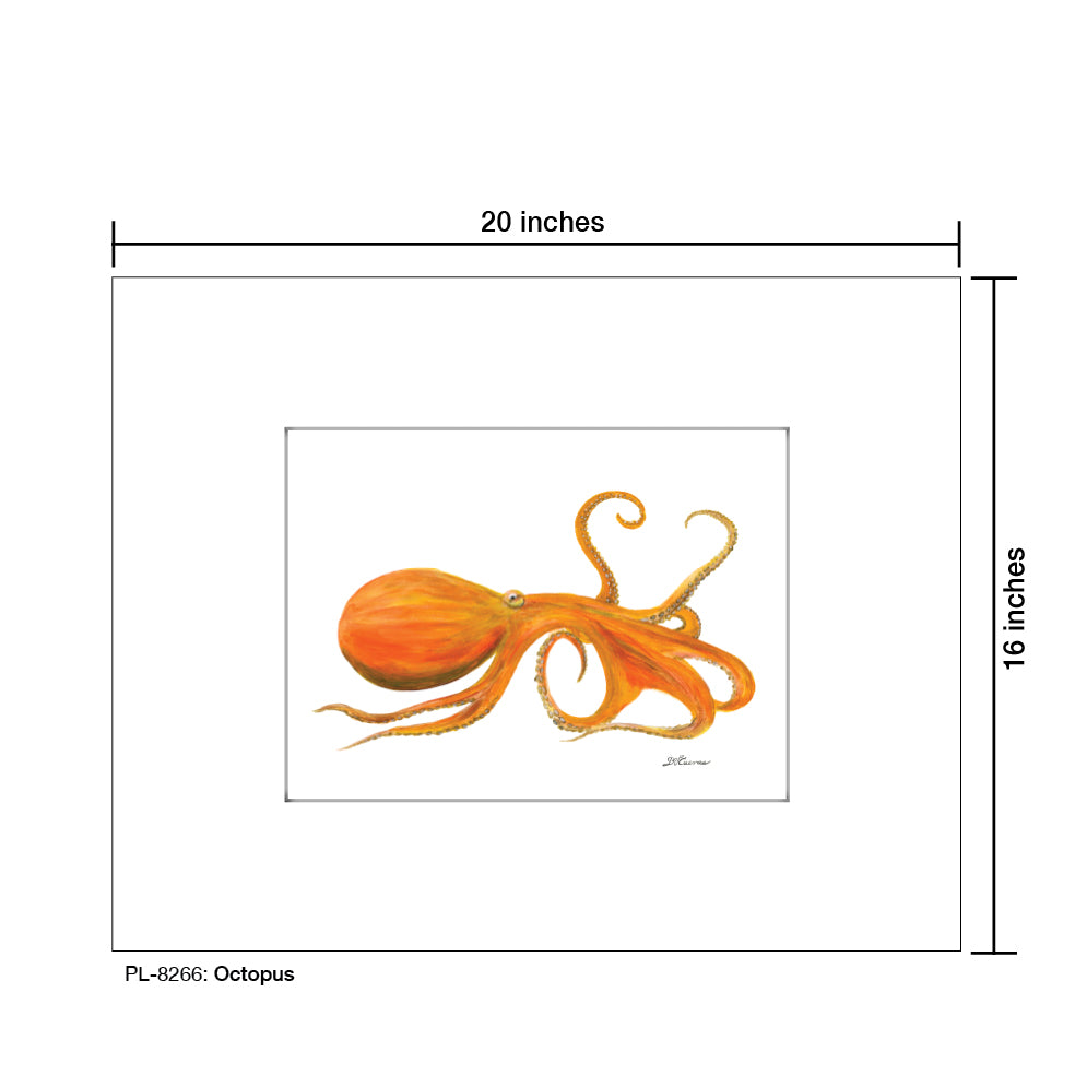 Octopus, Print (#8266B), Printe Matted, www.printedcanvas.com