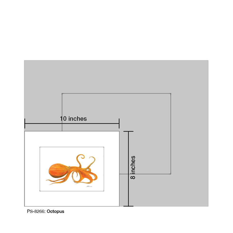 Octopus, Print (#8266B), Print Matted, www.printedcanvas.com