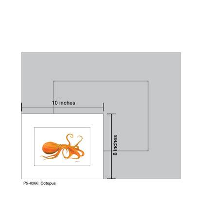Octopus, Print (#8266B), Print Matted, www.printedcanvas.com