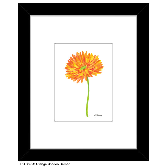 Orange Shades Gerber, Print (#8451A), Print Matted, www.printedcanvas.com