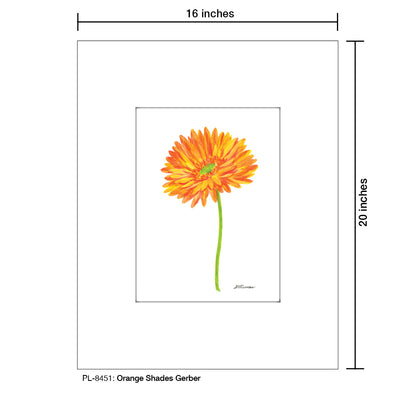 Orange Shades Gerber, Print (#8451A), Printe Matted, www.printedcanvas.com