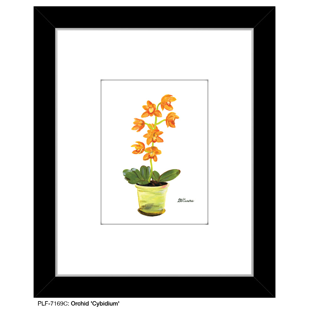 Orchid 'Cybidium', Print (#7169C) - Printed Canvas