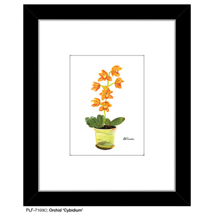 Orchid 'Cybidium', Print (#7169C) - Printed Canvas