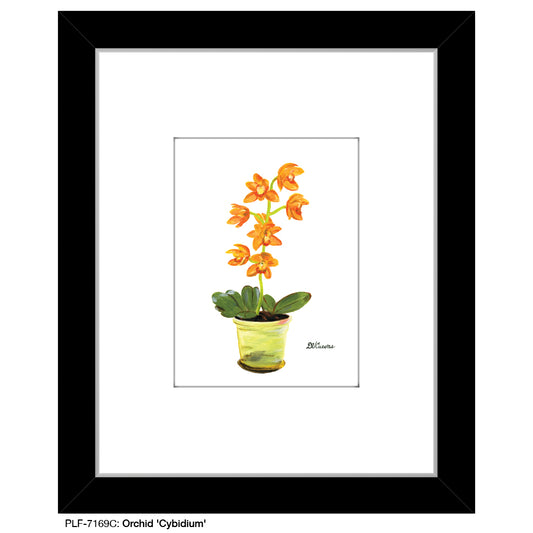 Orchid 'Cybidium', Print (#7169C) - Printed Canvas