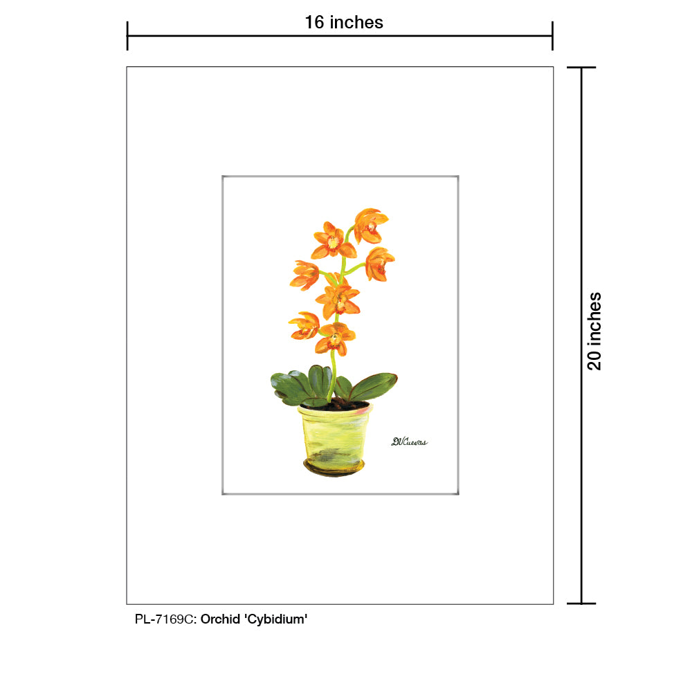 Orchid 'Cybidium', Print (#7169C) - Printed Canvas