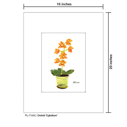 Orchid 'Cybidium', Print (#7169C) - Printed Canvas