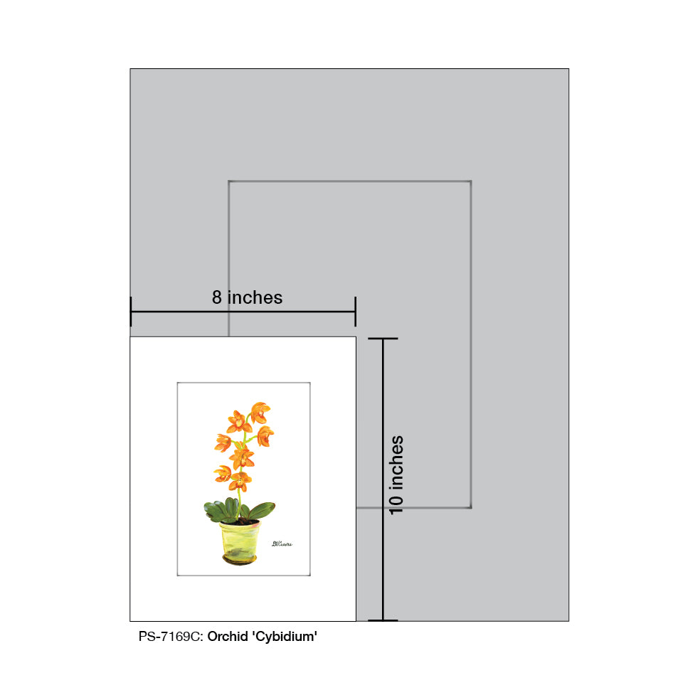 Orchid 'Cybidium', Print (#7169C) - Printed Canvas