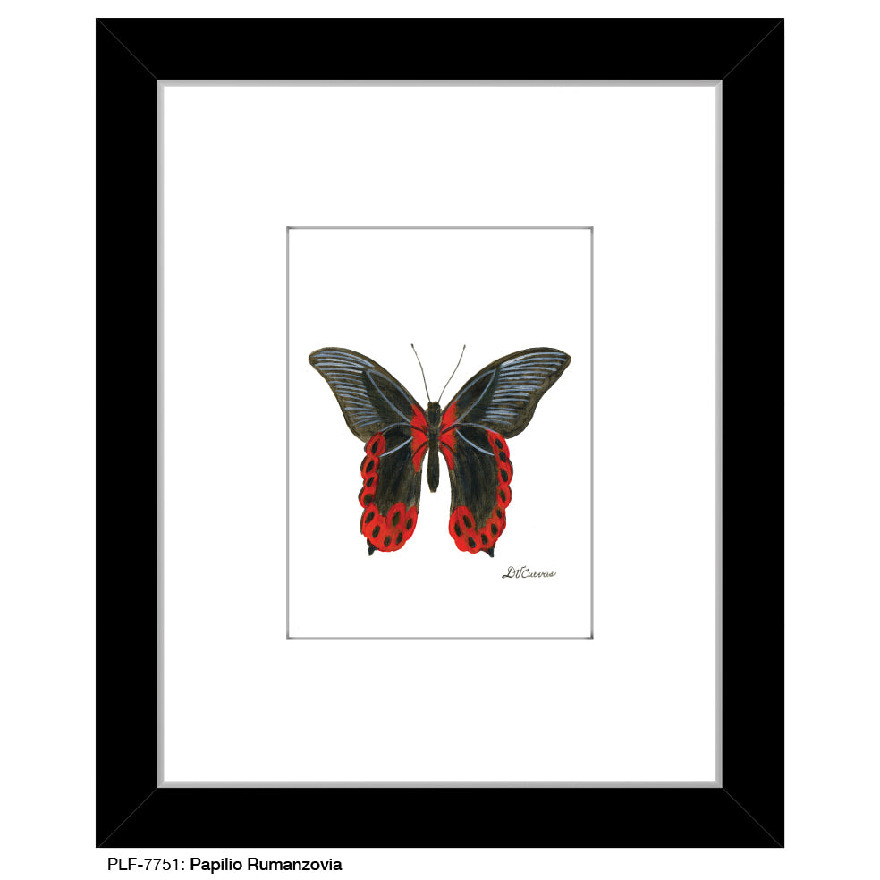 Papilio Rumanzovia, Print (#7751) - Printed Canvas