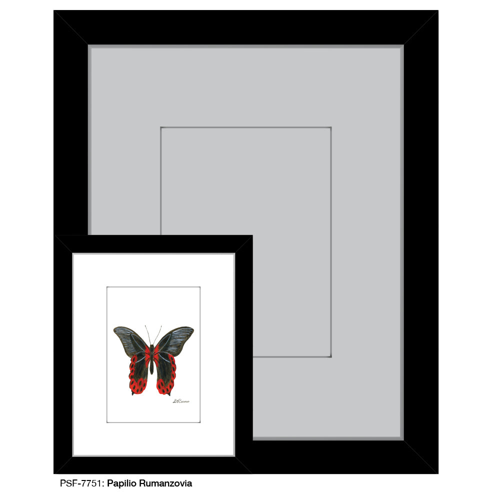 Papilio Rumanzovia, Print (#7751) - Printed Canvas