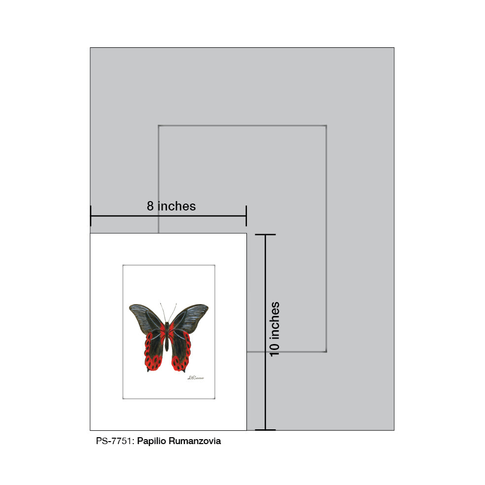 Papilio Rumanzovia, Print (#7751) - Printed Canvas
