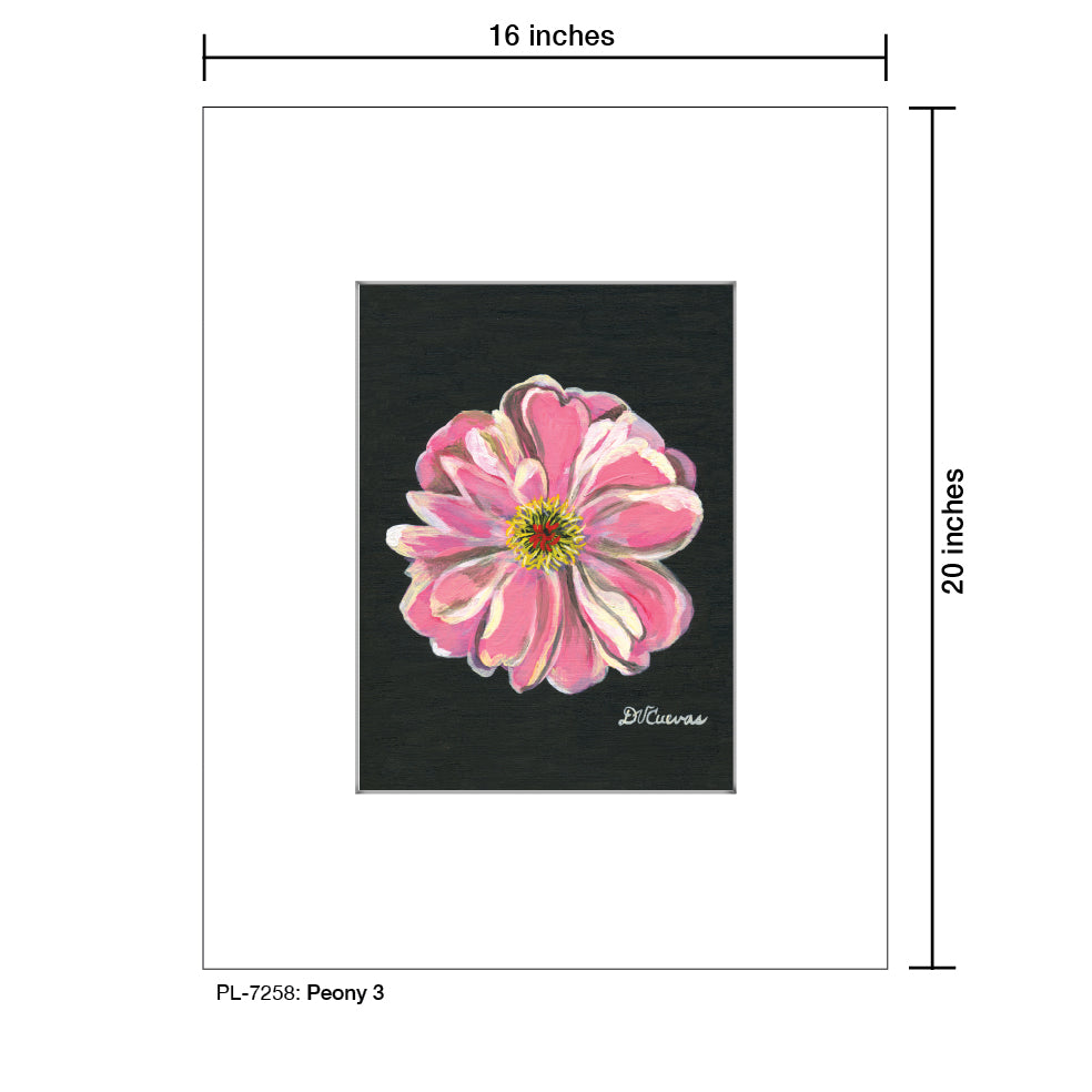 Peony 3, Print (#7258) - Printed Canvas