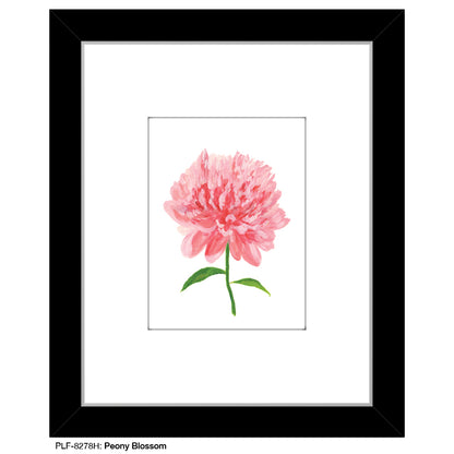 Peony Blossom, Print (#8278H), Print Matted, www.printedcanvas.com