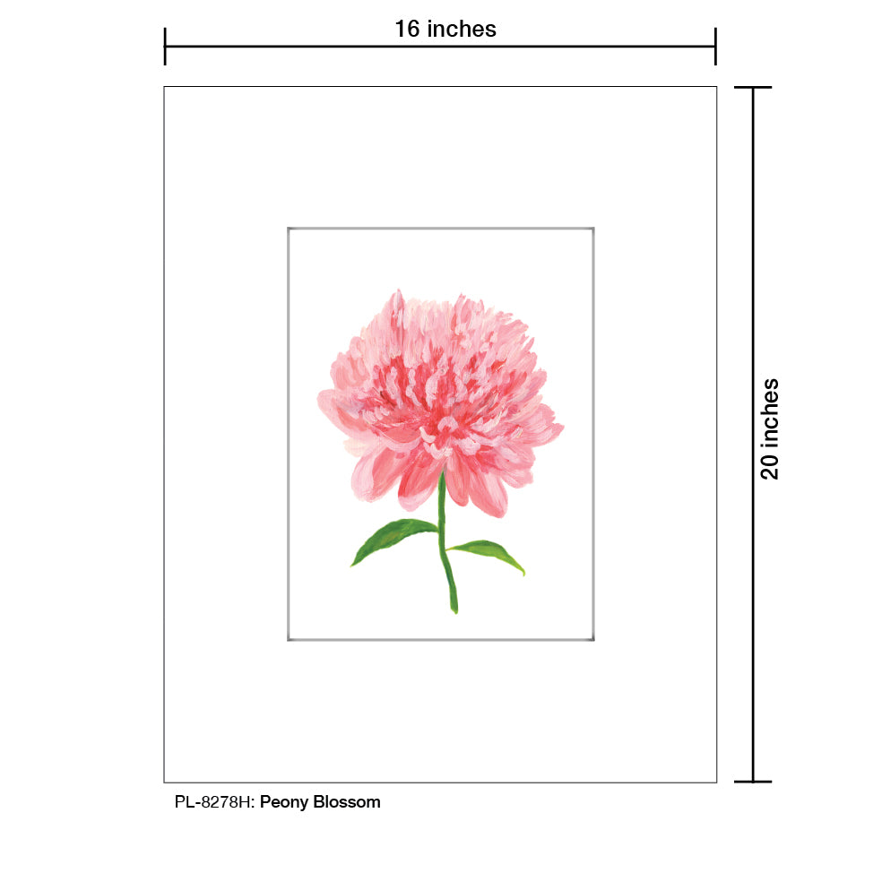 Peony Blossom, Print (#8278H), Printe Matted, www.printedcanvas.com