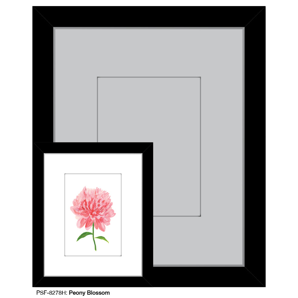 Peony Blossom, Print (#8278H), Print Matted, www.printedcanvas.com