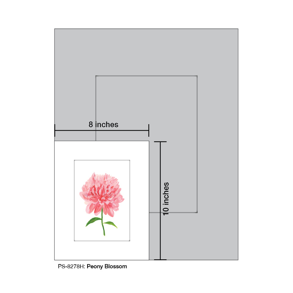 Peony Blossom, Print (#8278H), Print Matted, www.printedcanvas.com