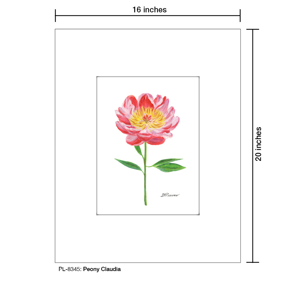 Peony Claudia, Print (#8345A), Printe Matted, www.printedcanvas.com
