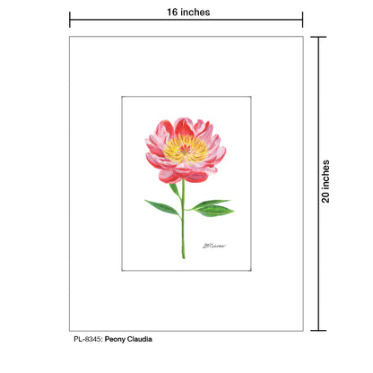 Peony Claudia, Print (#8345A), Printe Matted, www.printedcanvas.com