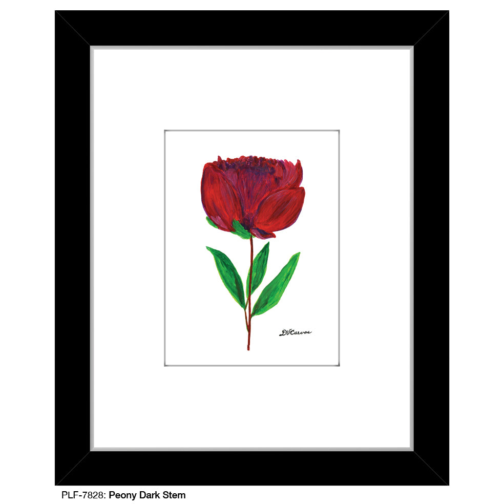 Peony Dark Stem, Print, Print (#7828) - Printed Canvas