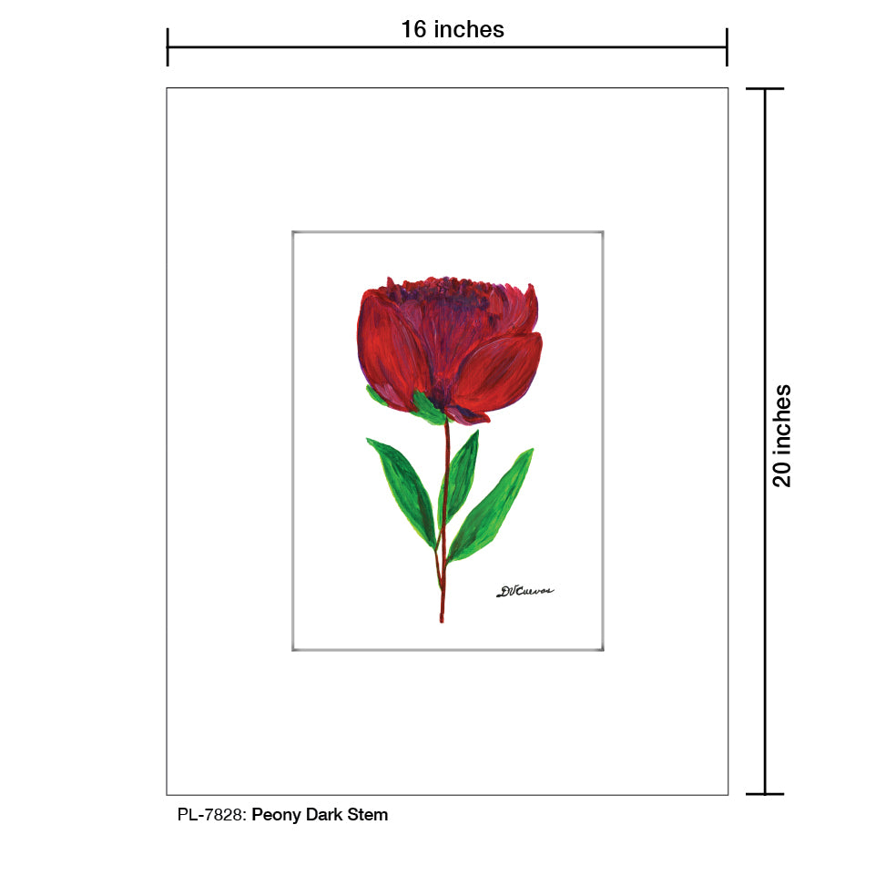 Peony Dark Stem, Print, Print (#7828) - Printed Canvas