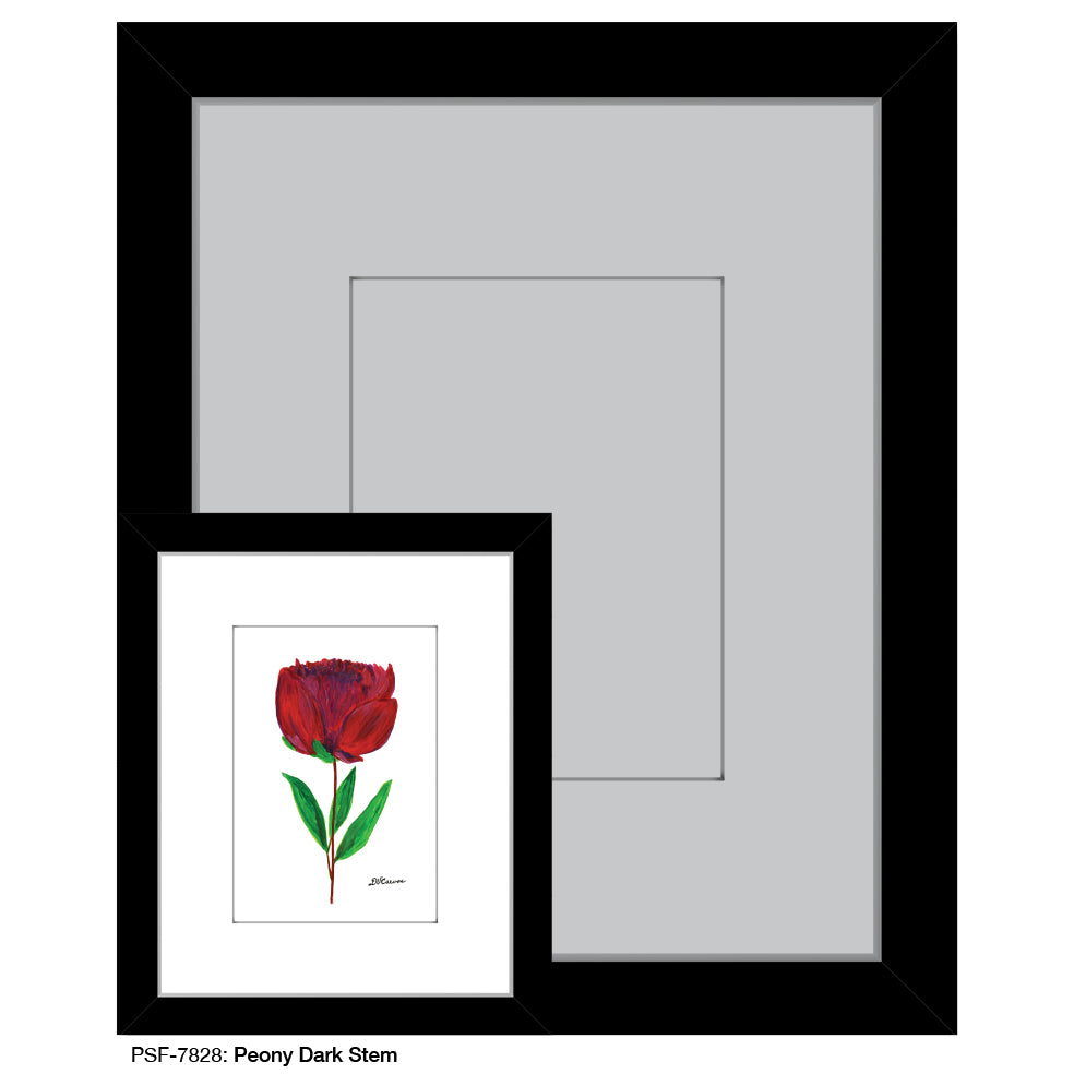 Peony Dark Stem, Print, Print (#7828) - Printed Canvas
