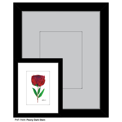 Peony Dark Stem, Print, Print (#7828) - Printed Canvas