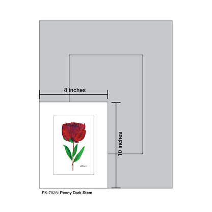 Peony Dark Stem, Print, Print (#7828) - Printed Canvas