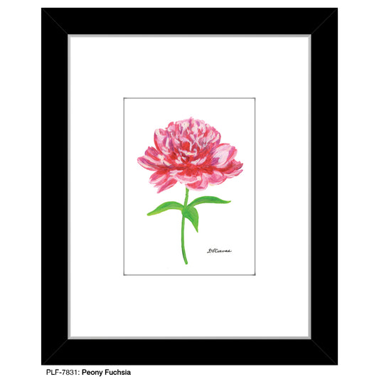 Peony Fuchsia, Print (#7831A), Print Matted, www.printedcanvas.com