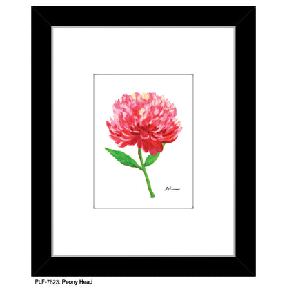 Peony Head, Print (#7823A), Print Matted, www.printedcanvas.com
