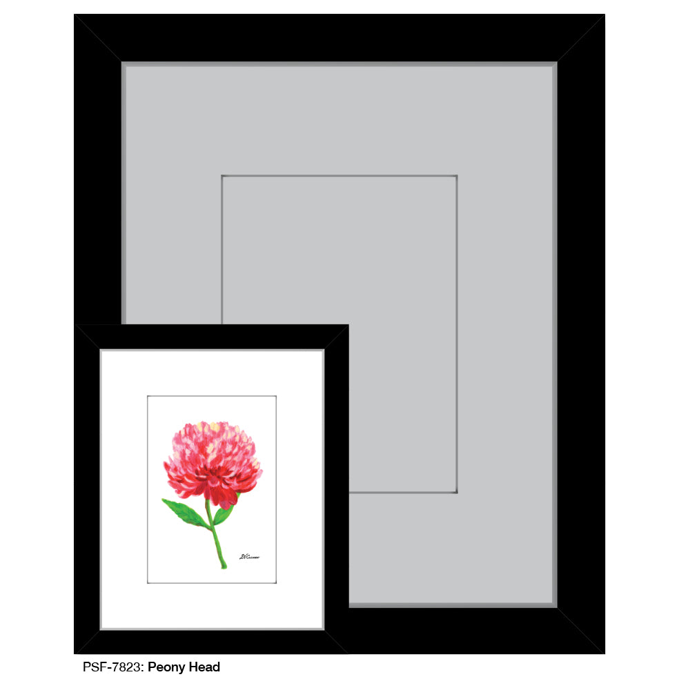 Peony Head, Print (#7823A), Print Matted, www.printedcanvas.com