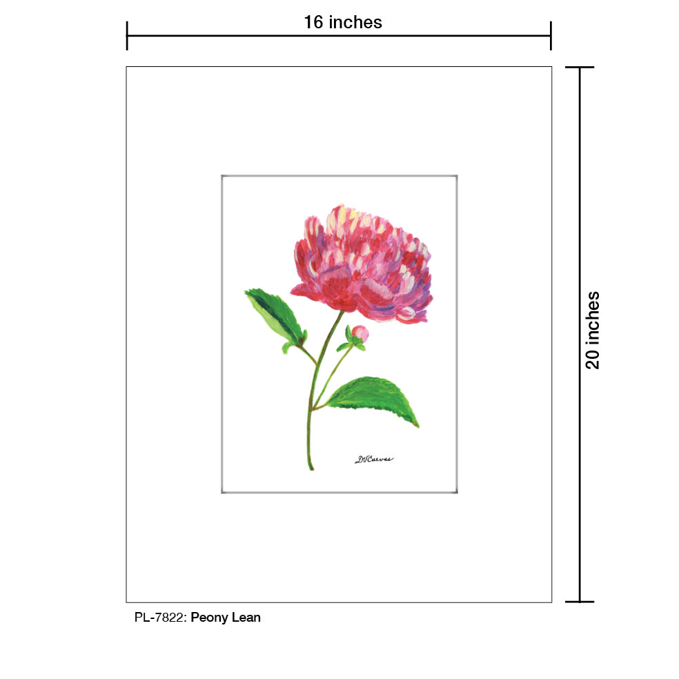 Peony Lean, Print (#7822A), Printe Matted, www.printedcanvas.com