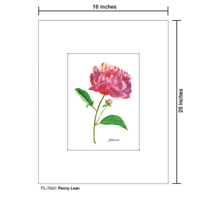 Peony Lean, Print (#7822A), Printe Matted, www.printedcanvas.com