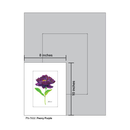 Peony Purple, Print (#7832) - Printed Canvas