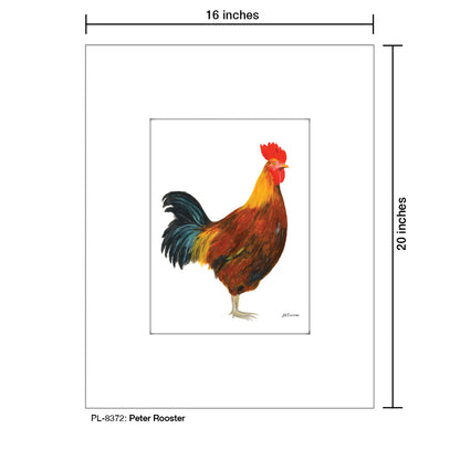 Peter Rooster, Print (#8372C), Printe Matted, www.printedcanvas.com