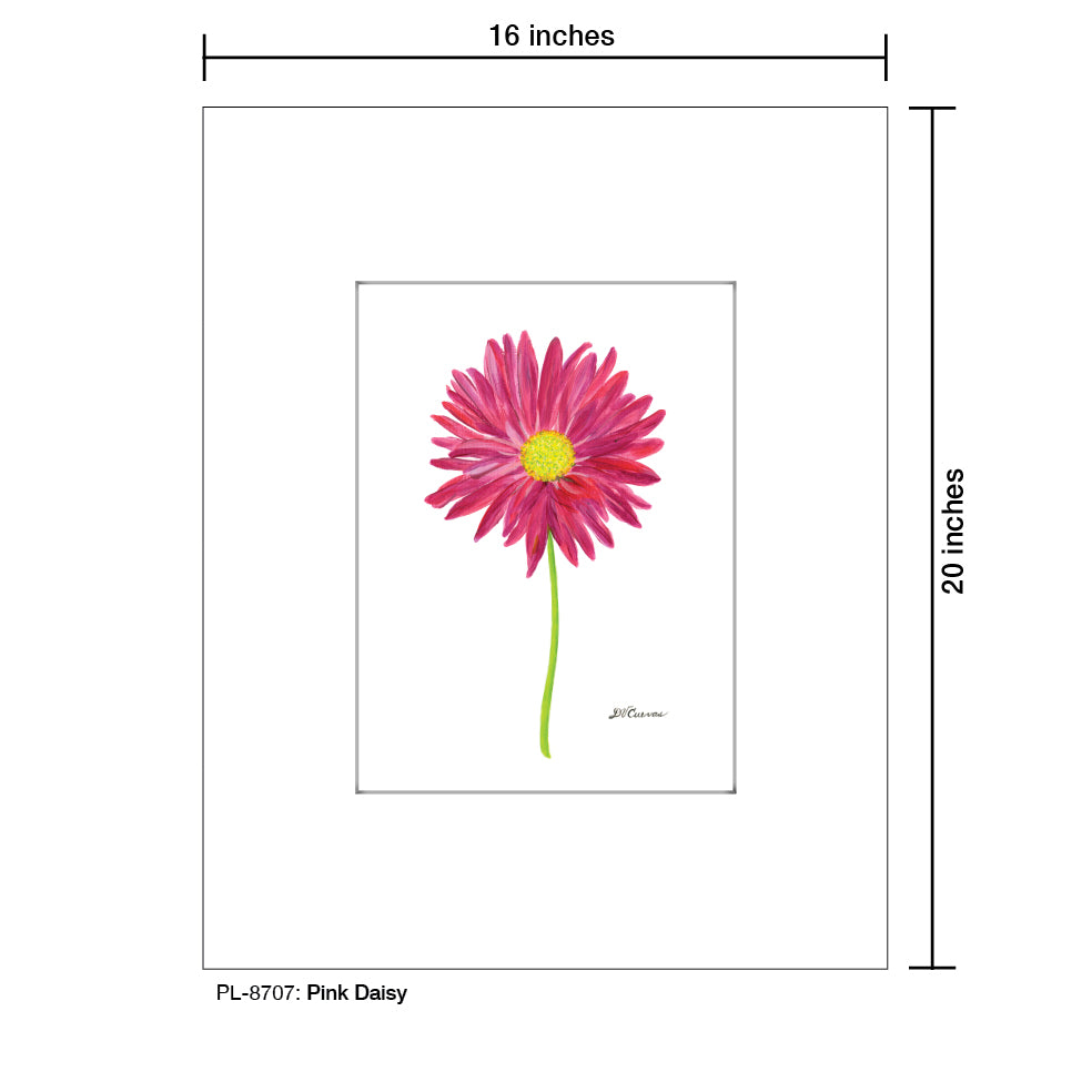 Pink Daisy, Print (#8707C), Printe Matted, www.printedcanvas.com