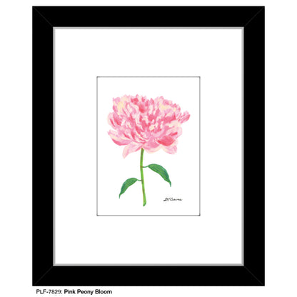 Pink Peony Bloom, Print (#7829A), Print Matted, www.printedcanvas.com