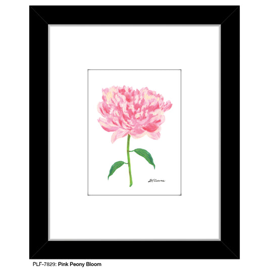 Pink Peony Bloom, Print (#7829A), Print Matted, www.printedcanvas.com