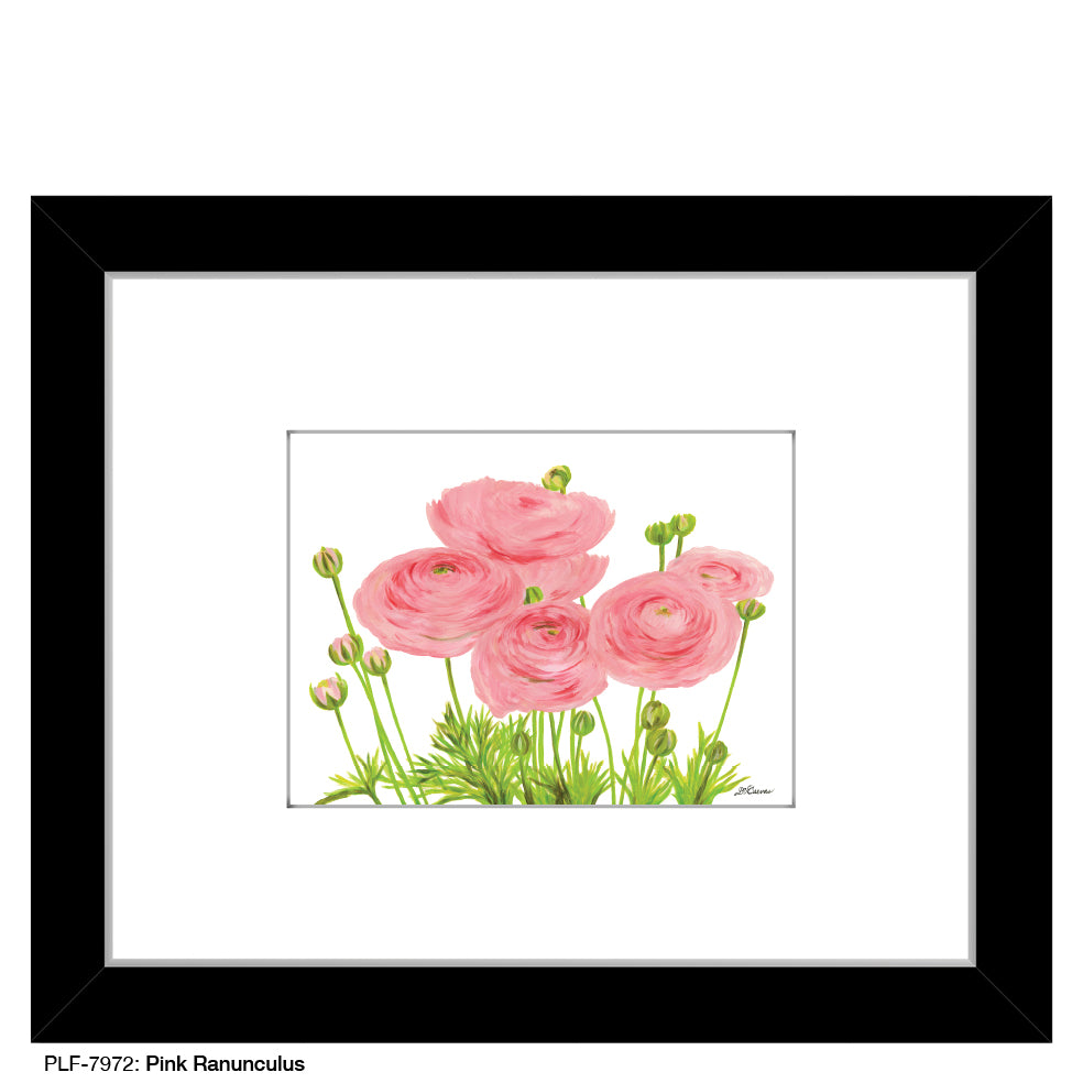 Pink Ranunculus, Print (#7972A), Print Matted, www.printedcanvas.com
