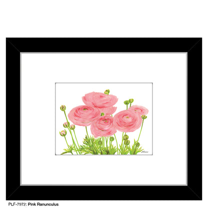 Pink Ranunculus, Print (#7972A), Print Matted, www.printedcanvas.com
