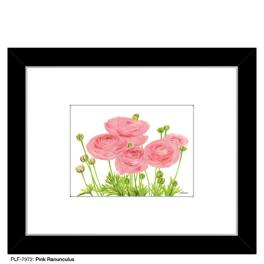 Pink Ranunculus, Print (#7972A), Print Matted, www.printedcanvas.com