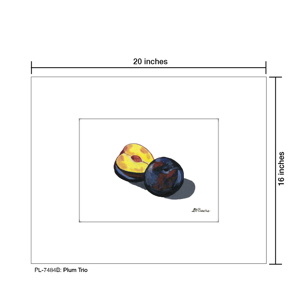 Plum Trio B, Print (#7484B) - Printed Canvas