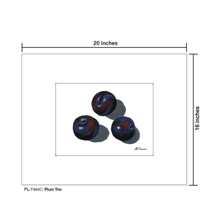 Plum Trio C, Print (#7484C) - Printed Canvas