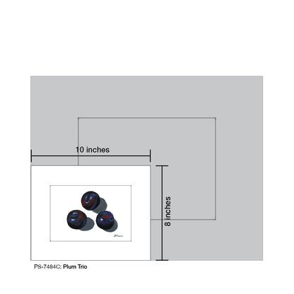 Plum Trio C, Print (#7484C) - Printed Canvas
