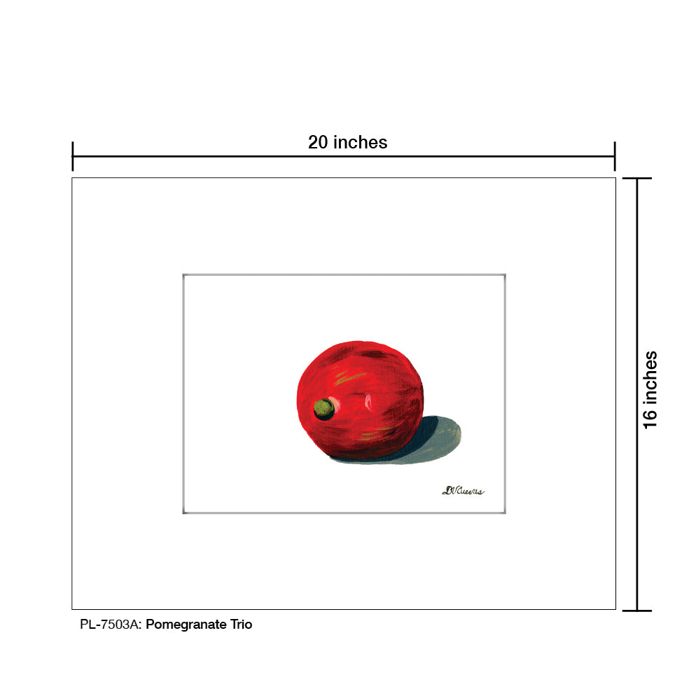 Pomegranate Trio A, Print (#7503A) - Printed Canvas