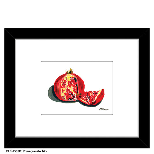 Pomegranate Trio B, Print (#7503B) - Printed Canvas