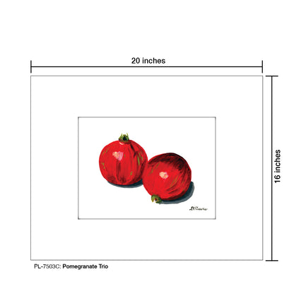 Pomegranate Trio C, Print (#7503C) - Printed Canvas