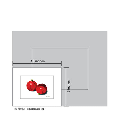 Pomegranate Trio C, Print (#7503C) - Printed Canvas
