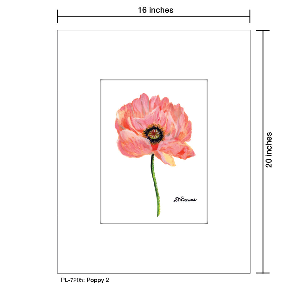 Poppy 02, Print (#7205) - Printed Canvas