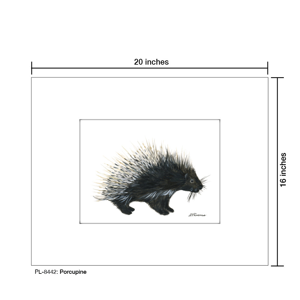 Porcupine, Print (#8442B), Printe Matted, www.printedcanvas.com